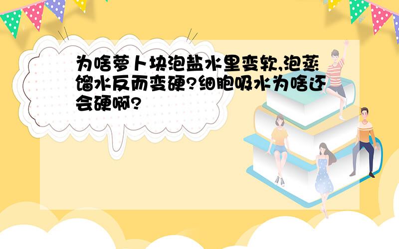 为啥萝卜块泡盐水里变软,泡蒸馏水反而变硬?细胞吸水为啥还会硬啊?