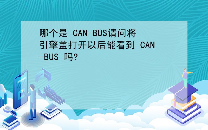 哪个是 CAN-BUS请问将引擎盖打开以后能看到 CAN-BUS 吗?