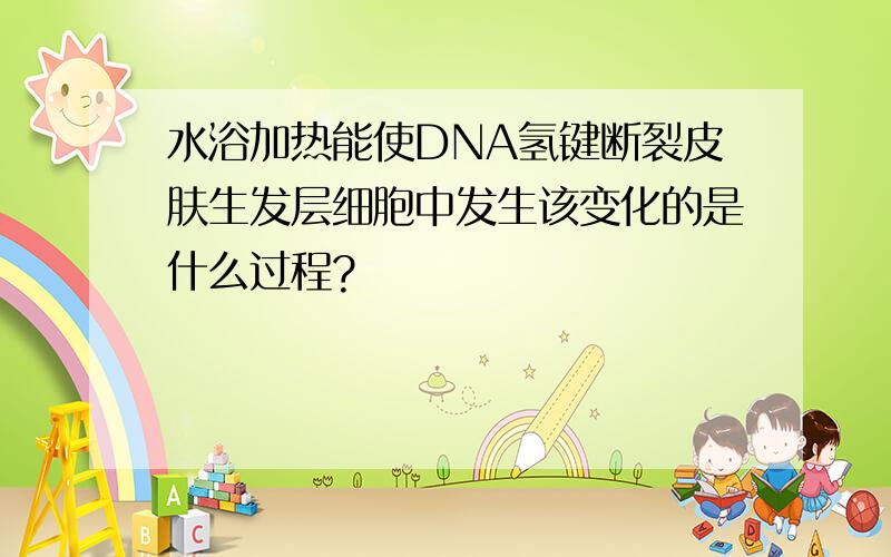 水浴加热能使DNA氢键断裂皮肤生发层细胞中发生该变化的是什么过程?