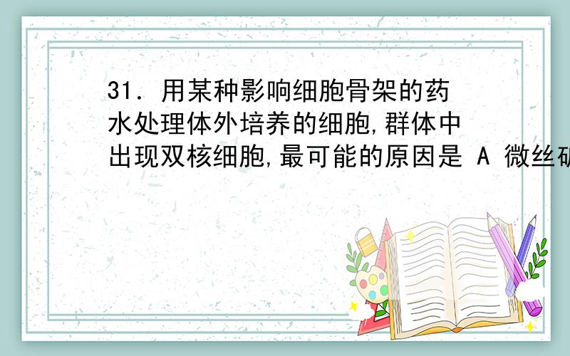 31．用某种影响细胞骨架的药水处理体外培养的细胞,群体中出现双核细胞,最可能的原因是 A 微丝破坏 B 微管破坏C 染色体畸变 D 细胞发生融合我开始选的是B为什么错了