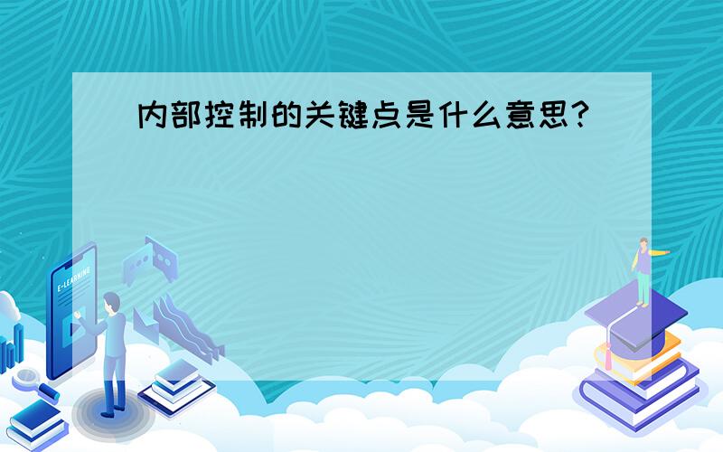 内部控制的关键点是什么意思?