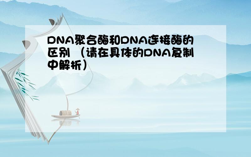 DNA聚合酶和DNA连接酶的区别 （请在具体的DNA复制中解析）