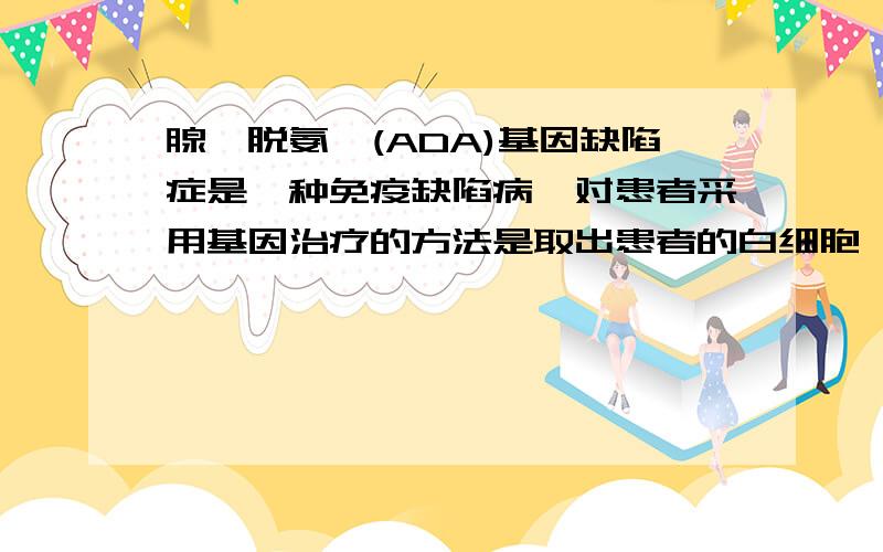 腺苷脱氨酶(ADA)基因缺陷症是一种免疫缺陷病,对患者采用基因治疗的方法是取出患者的白细胞,进行体外培养耐导入正常ADA基因,再将这些白细胞注射人患者体内,使其免疫功能增强,能正常生活