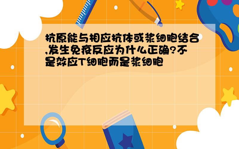 抗原能与相应抗体或浆细胞结合,发生免疫反应为什么正确?不是效应T细胞而是浆细胞