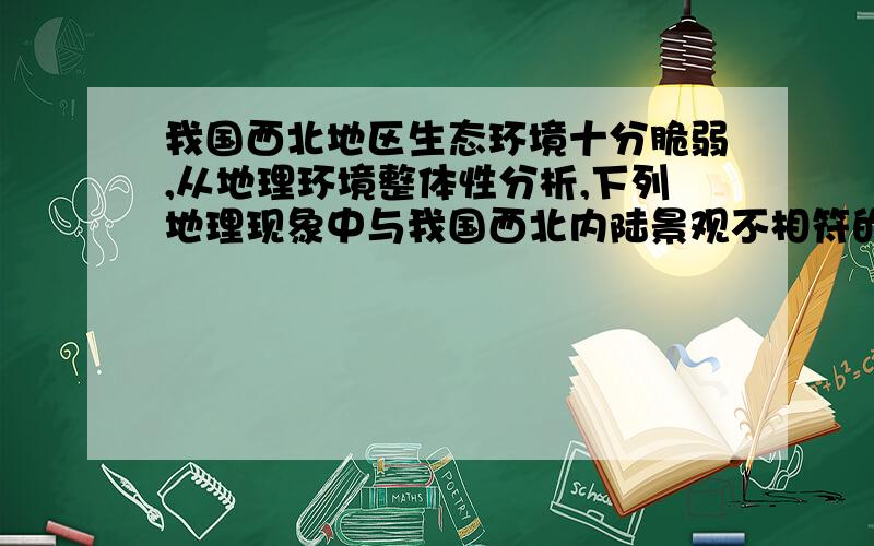 我国西北地区生态环境十分脆弱,从地理环境整体性分析,下列地理现象中与我国西北内陆景观不相符的是A,气候干旱,降水稀少B,化学风化微弱,物理风化剧烈C,流水侵蚀显著,风力侵蚀微弱D,植物