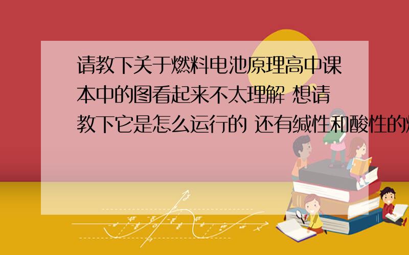 请教下关于燃料电池原理高中课本中的图看起来不太理解 想请教下它是怎么运行的 还有缄性和酸性的燃料电池什么区别