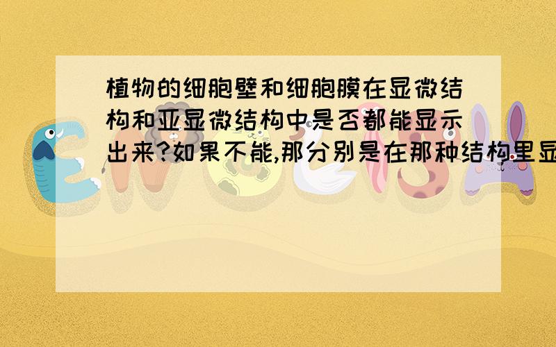 植物的细胞壁和细胞膜在显微结构和亚显微结构中是否都能显示出来?如果不能,那分别是在那种结构里显示出来?