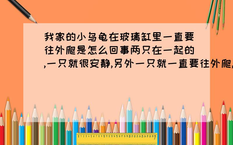 我家的小乌龟在玻璃缸里一直要往外爬是怎么回事两只在一起的,一只就很安静,另外一只就一直要往外爬,我都怕它累坏了,这是怎么回事啊