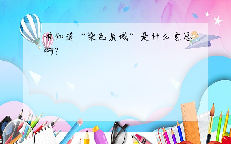 谁知道“染色质域”是什么意思啊?