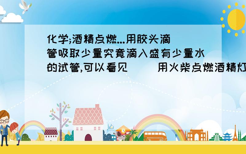 化学;酒精点燃...用胶头滴管吸取少量究竟滴入盛有少量水的试管,可以看见( )用火柴点燃酒精灯,发现( )酒精点燃能生成( )和( )