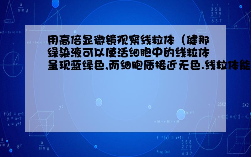 用高倍显微镜观察线粒体（健那绿染液可以使活细胞中的线粒体呈现蓝绿色,而细胞质接近无色.线粒体能在其中维持活性数小时,通过染色可以在高倍显微镜下观察到生活状态的线粒体的形态