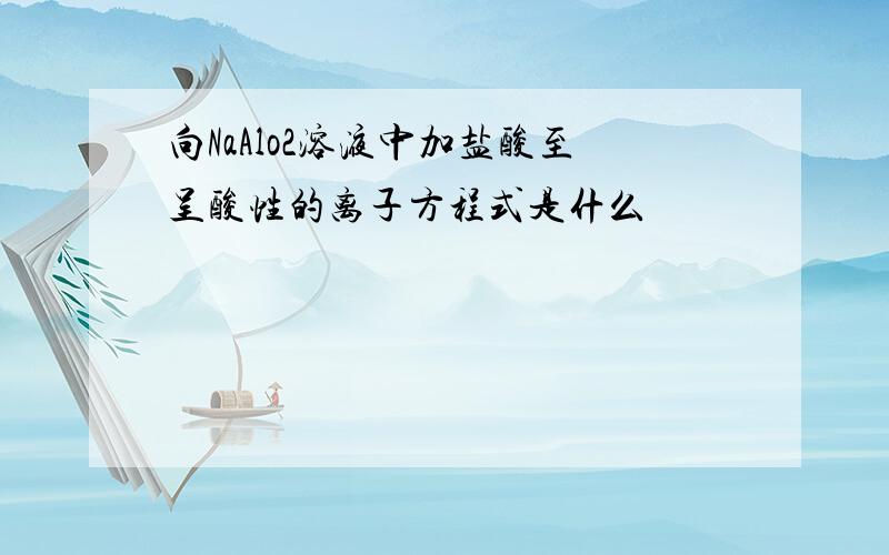 向NaAlo2溶液中加盐酸至呈酸性的离子方程式是什么