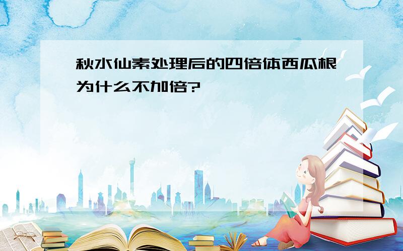 秋水仙素处理后的四倍体西瓜根为什么不加倍?