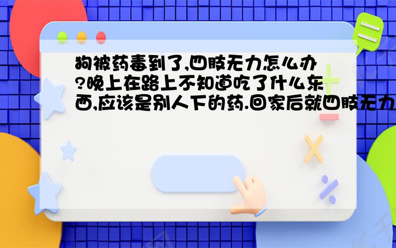 狗被药毒到了,四肢无力怎么办?晚上在路上不知道吃了什么东西,应该是别人下的药.回家后就四肢无力,站不起?请大家帮个忙.这个狗在家带了2年了.舍不得啊```