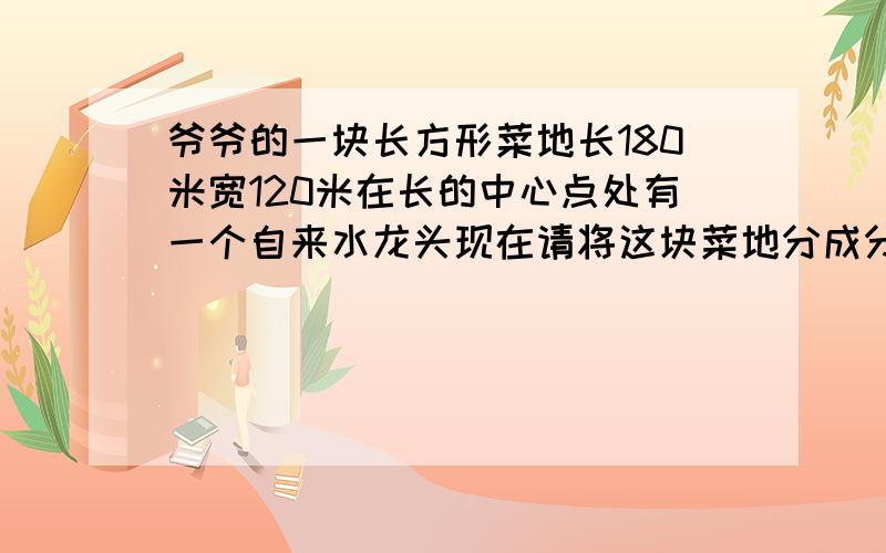 爷爷的一块长方形菜地长180米宽120米在长的中心点处有一个自来水龙头现在请将这块菜地分成分成面积相等的三块并且每块菜地都要与自来水龙头连接.（最好有图）~