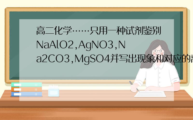 高二化学……只用一种试剂鉴别NaAlO2,AgNO3,Na2CO3,MgSO4并写出现象和对应的离子方程式