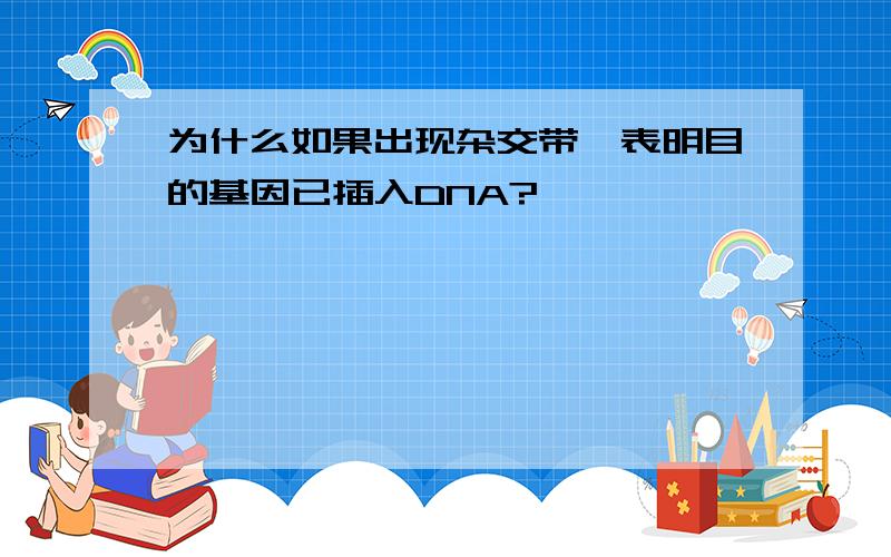 为什么如果出现杂交带,表明目的基因已插入DNA?