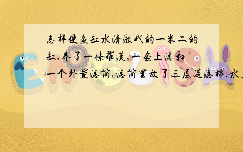 怎样使鱼缸水清澈我的一米二的缸,养了一条罗汉,一套上滤和一个外置滤筒,滤筒里放了三层过滤棉.水质挺清澈,但一开顶灯水就不像熄灯时那么清了.怎样才能使水变得像矿泉水那样清呢.