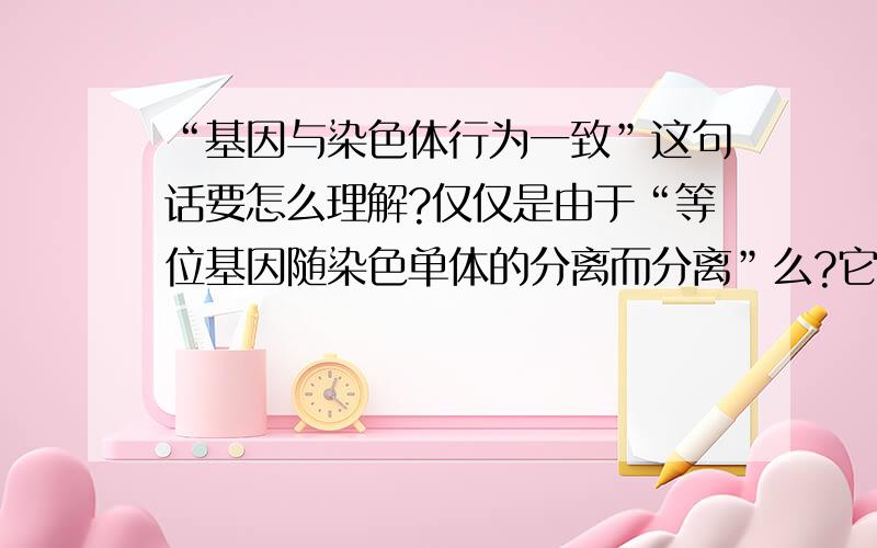 “基因与染色体行为一致”这句话要怎么理解?仅仅是由于“等位基因随染色单体的分离而分离”么?它们的“一致”还体现在什么方面?