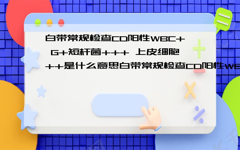 白带常规检查CD阳性WBC+ G+短杆菌+++ 上皮细胞++是什么意思白带常规检查CD阳性WBC+G+短杆菌+++上皮细胞++是什么意思