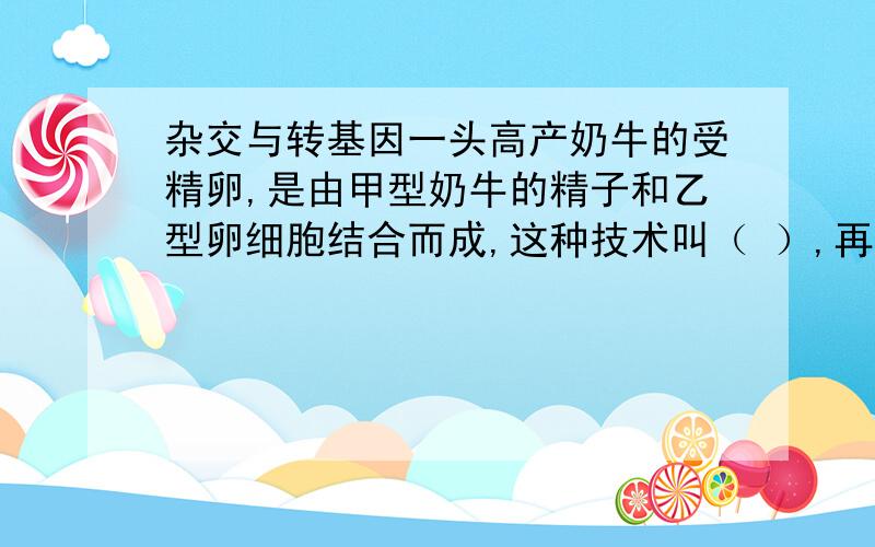 杂交与转基因一头高产奶牛的受精卵,是由甲型奶牛的精子和乙型卵细胞结合而成,这种技术叫（ ）,再将丙型人工优良基因注入受精卵,这种技术是（ ）.