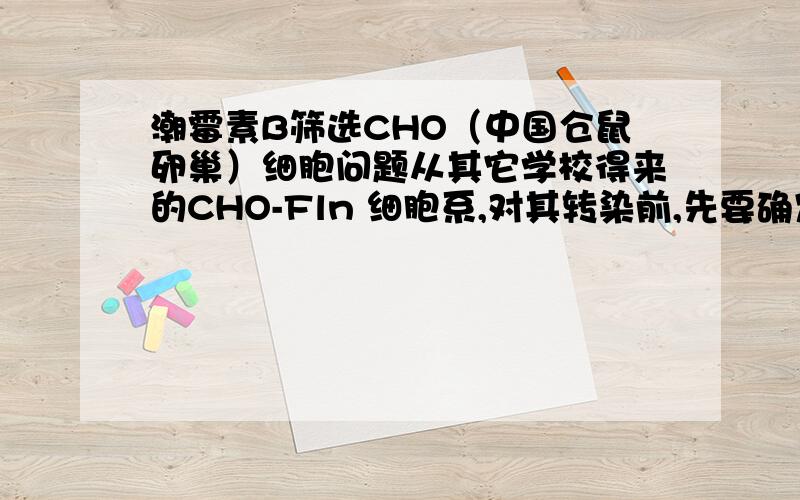 潮霉素B筛选CHO（中国仓鼠卵巢）细胞问题从其它学校得来的CHO-Fln 细胞系,对其转染前,先要确定潮霉素B对其的筛选浓度,即两周内细胞全部死亡的潮霉素B浓度.（原实验室用的是50ug/ml有效）做