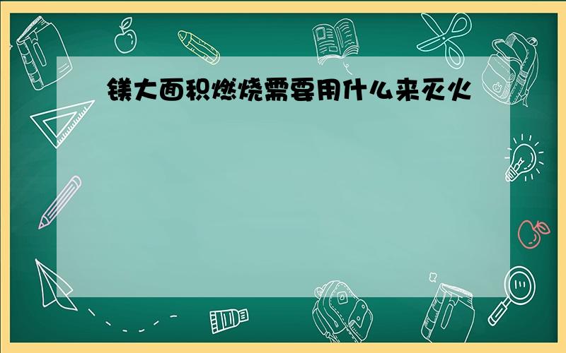 镁大面积燃烧需要用什么来灭火