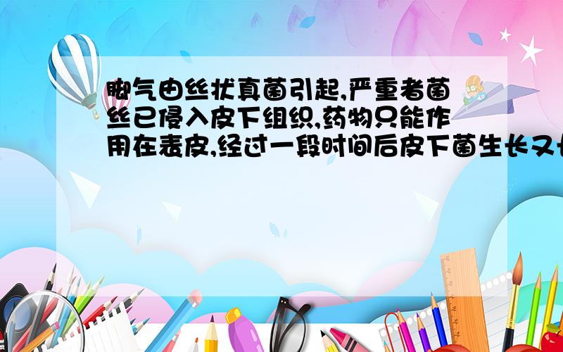 脚气由丝状真菌引起,严重者菌丝已侵入皮下组织,药物只能作用在表皮,经过一段时间后皮下菌生长又长到表