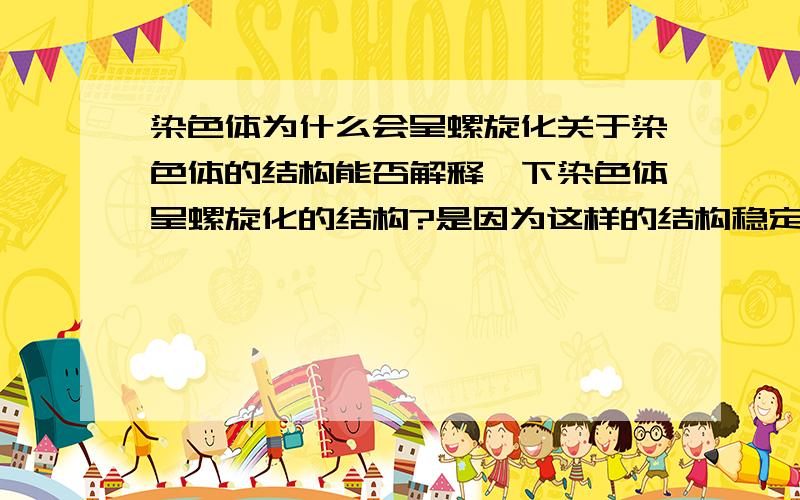 染色体为什么会呈螺旋化关于染色体的结构能否解释一下染色体呈螺旋化的结构?是因为这样的结构稳定么?还是利于复制之类的啊?