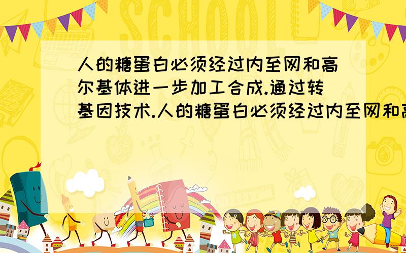 人的糖蛋白必须经过内至网和高尔基体进一步加工合成.通过转基因技术.人的糖蛋白必须经过内至网和高尔基体进一步加工合成.通过转基因技术,可以使人的蛋白基因得以表达的受体细胞是:A