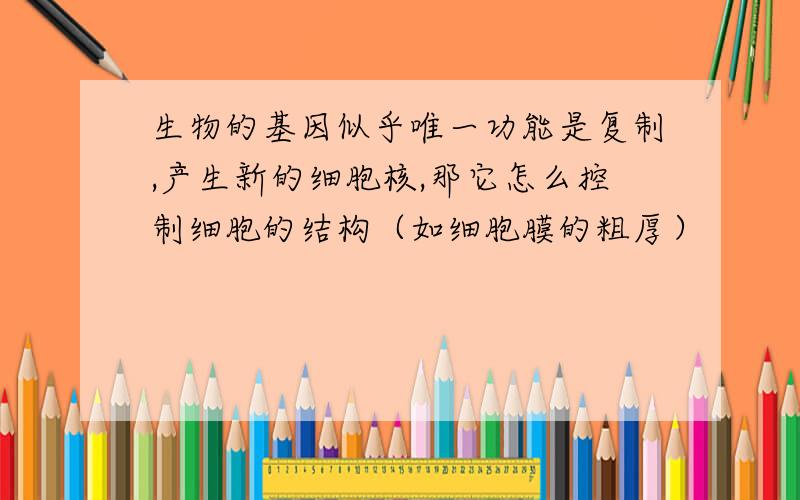 生物的基因似乎唯一功能是复制,产生新的细胞核,那它怎么控制细胞的结构（如细胞膜的粗厚）