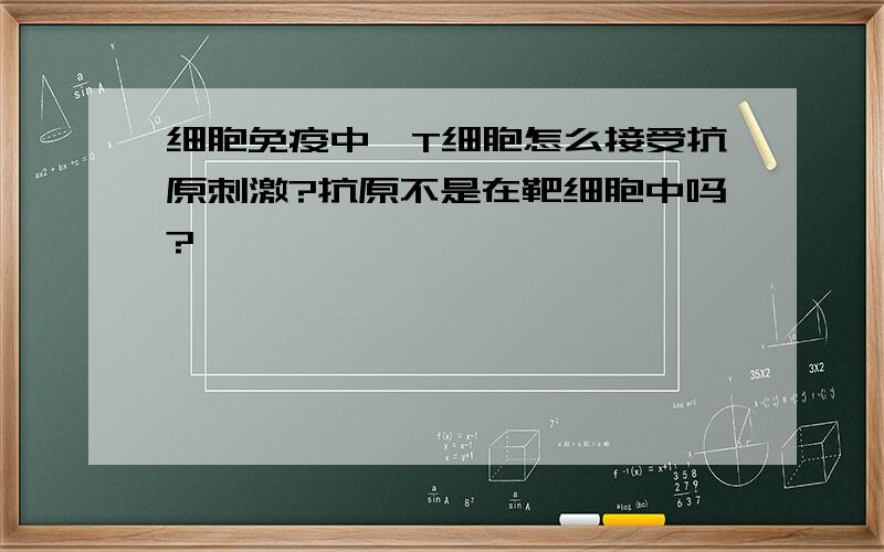 细胞免疫中,T细胞怎么接受抗原刺激?抗原不是在靶细胞中吗?