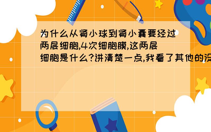 为什么从肾小球到肾小囊要经过两层细胞,4次细胞膜,这两层细胞是什么?讲清楚一点,我看了其他的没懂.最好有图