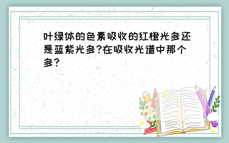 叶绿体的色素吸收的红橙光多还是蓝紫光多?在吸收光谱中那个多?