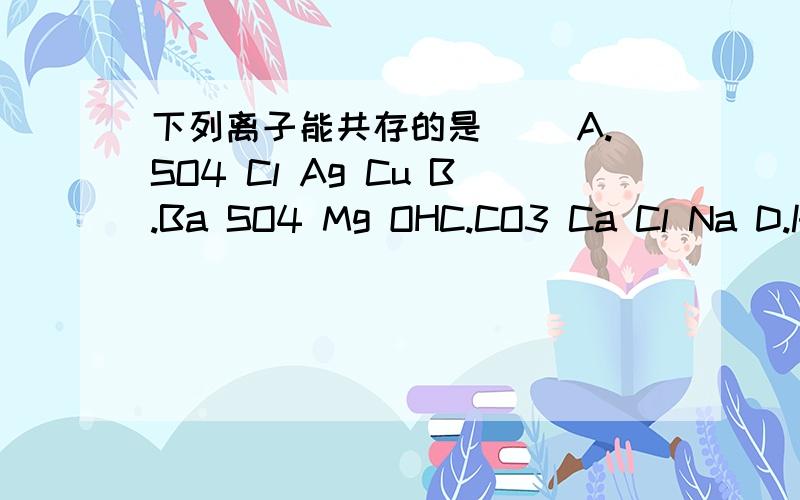 下列离子能共存的是（ ）A.SO4 Cl Ag Cu B.Ba SO4 Mg OHC.CO3 Ca Cl Na D.K NO3 SO4 Na