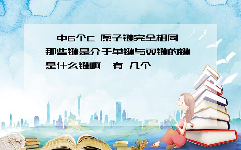 苯中6个C 原子键完全相同,那些键是介于单键与双键的键,是什么键啊,有 几个