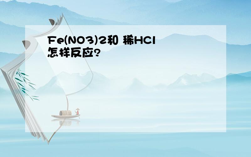 Fe(NO3)2和 稀HCl怎样反应?