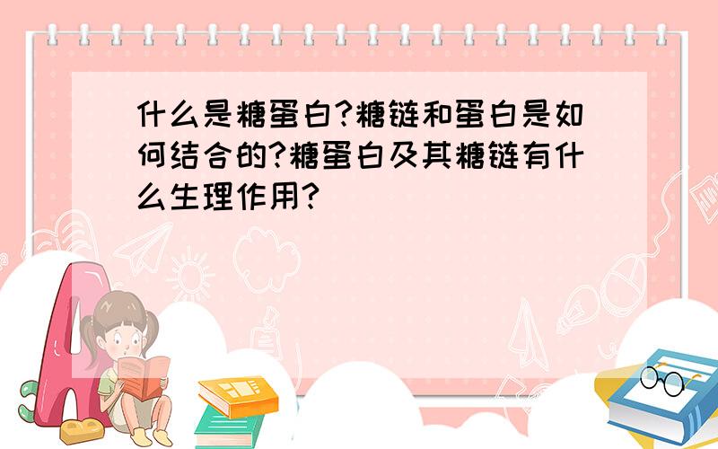 什么是糖蛋白?糖链和蛋白是如何结合的?糖蛋白及其糖链有什么生理作用?