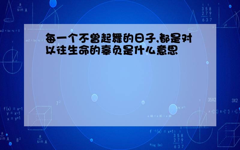 每一个不曾起舞的日子,都是对以往生命的辜负是什么意思