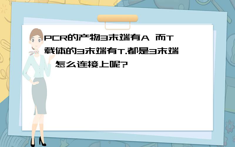 PCR的产物3末端有A 而T载体的3末端有T.都是3末端,怎么连接上呢?