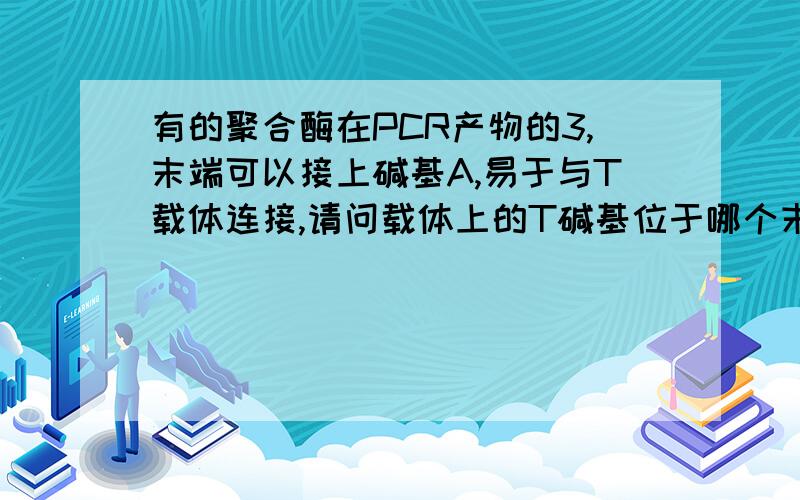 有的聚合酶在PCR产物的3,末端可以接上碱基A,易于与T载体连接,请问载体上的T碱基位于哪个末端?如果也位于3,端,似乎他们两个连不上啊