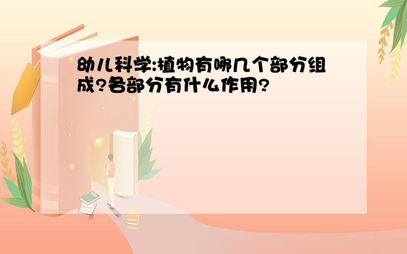 幼儿科学:植物有哪几个部分组成?各部分有什么作用?