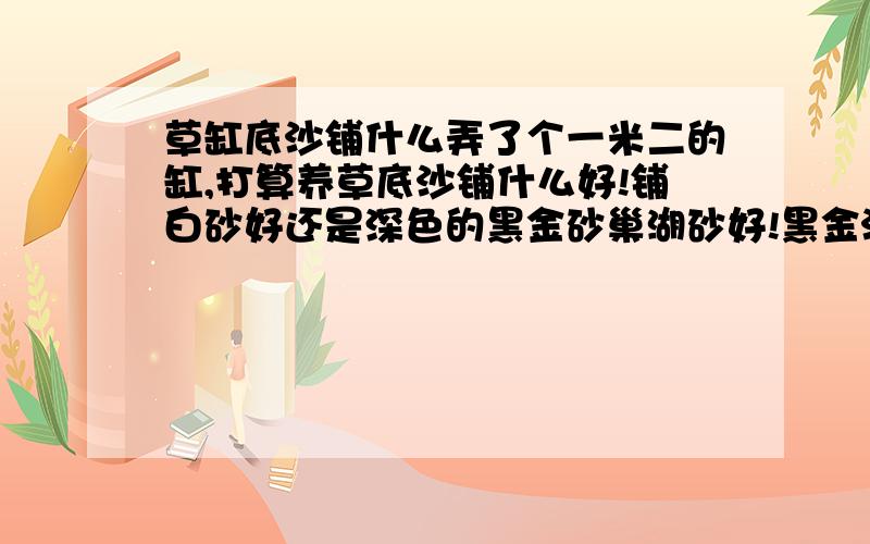 草缸底沙铺什么弄了个一米二的缸,打算养草底沙铺什么好!铺白砂好还是深色的黑金砂巢湖砂好!黑金沙价格大概多少