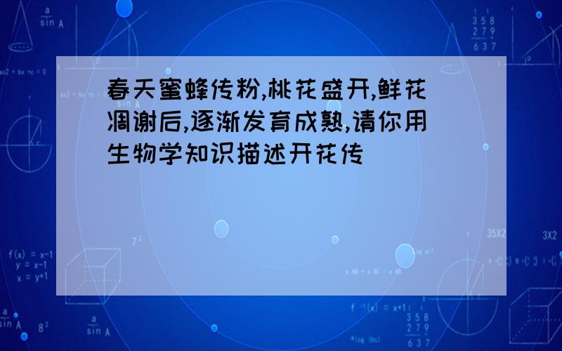 春天蜜蜂传粉,桃花盛开,鲜花凋谢后,逐渐发育成熟,请你用生物学知识描述开花传