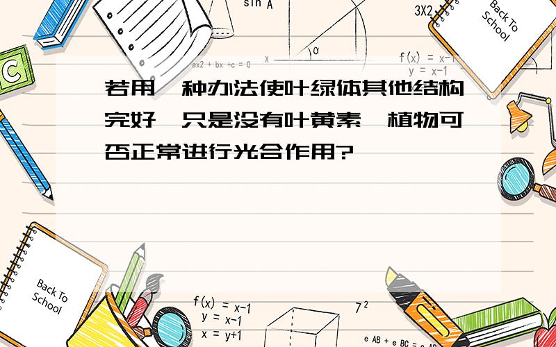 若用一种办法使叶绿体其他结构完好,只是没有叶黄素,植物可否正常进行光合作用?