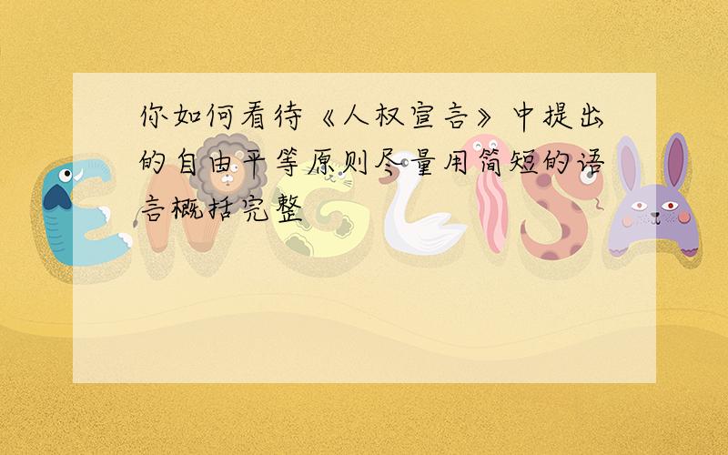 你如何看待《人权宣言》中提出的自由平等原则尽量用简短的语言概括完整