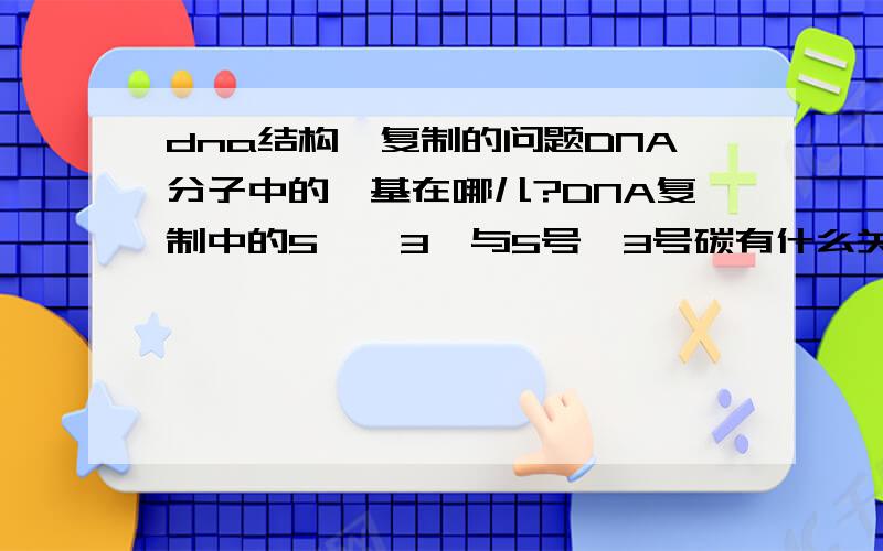 dna结构、复制的问题DNA分子中的羟基在哪儿?DNA复制中的5`、3`与5号、3号碳有什么关系?为什么用这两个作为两端?