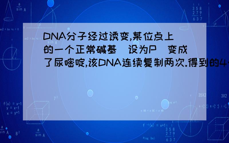 DNA分子经过诱变,某位点上的一个正常碱基（设为P）变成了尿嘧啶,该DNA连续复制两次.得到的4个子代DNA分子相应位点上的碱基对分别为U-A,A-T,G-C,C-G.推测“P”可能是?