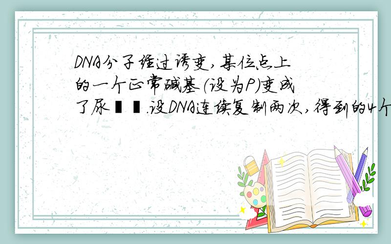 DNA分子经过诱变,某位点上的一个正常碱基（设为P）变成了尿嘧啶.设DNA连续复制两次,得到的4个子代DNA分子相应位点上的碱基对分别为U–A,A–T,G–C,C–G,推测“P”可能是（ ）A,胸腺嘧啶 B.腺