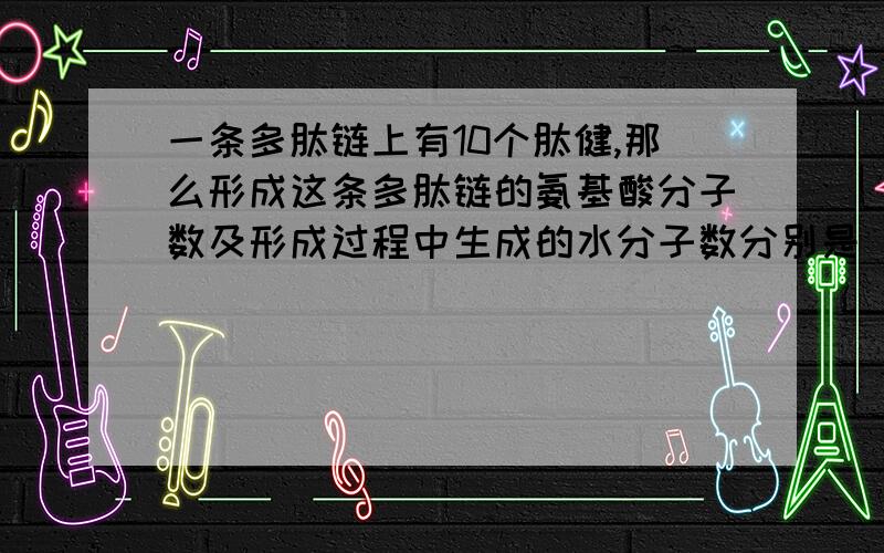 一条多肽链上有10个肽健,那么形成这条多肽链的氨基酸分子数及形成过程中生成的水分子数分别是 ( )A 10个和11个 B 10个和9个 C 11个和10个 D 11个和11个